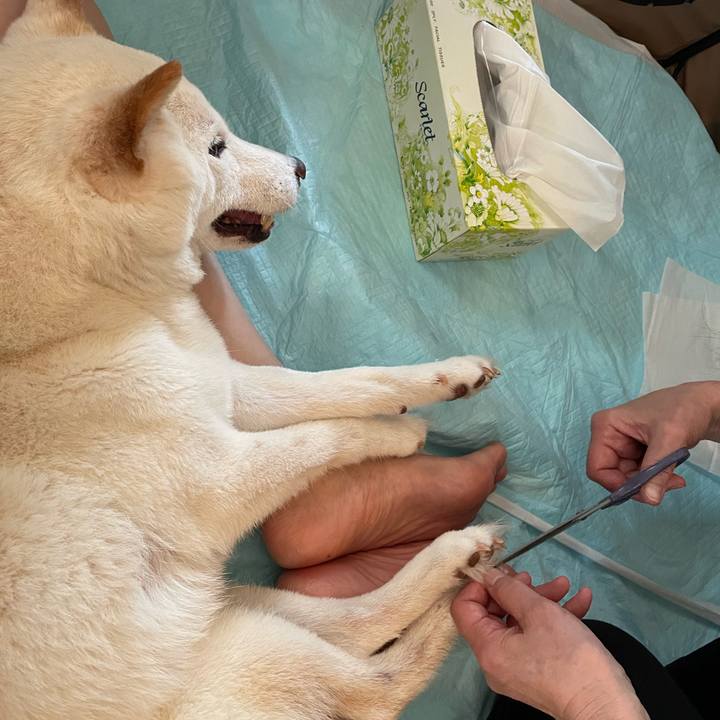 Adfc9a38 ee0e 46ec 8a80 c84f1f3684e1 1656130468424