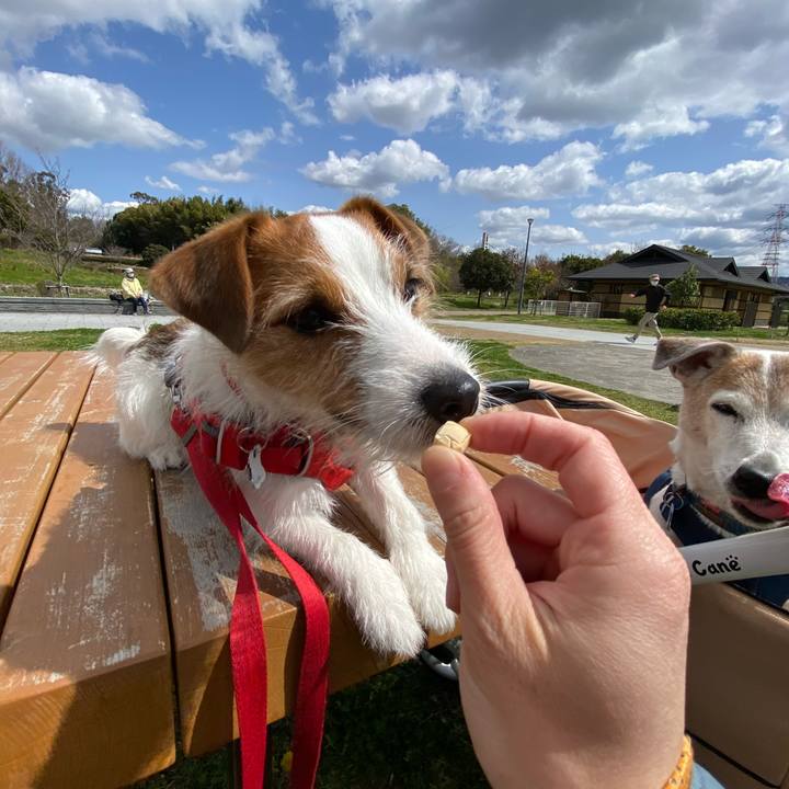 Adfcdbb0 8bd5 49df 83fa 9f5d9bceaad8 1647839912663