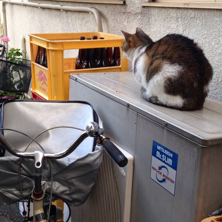 Adfce782 b481 409f a981 459e7778a33f 1509440156079