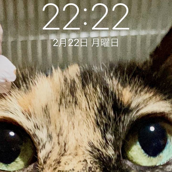 Adfcf2fc e1e2 46b7 bd6a 13df611f4150 1614000583890