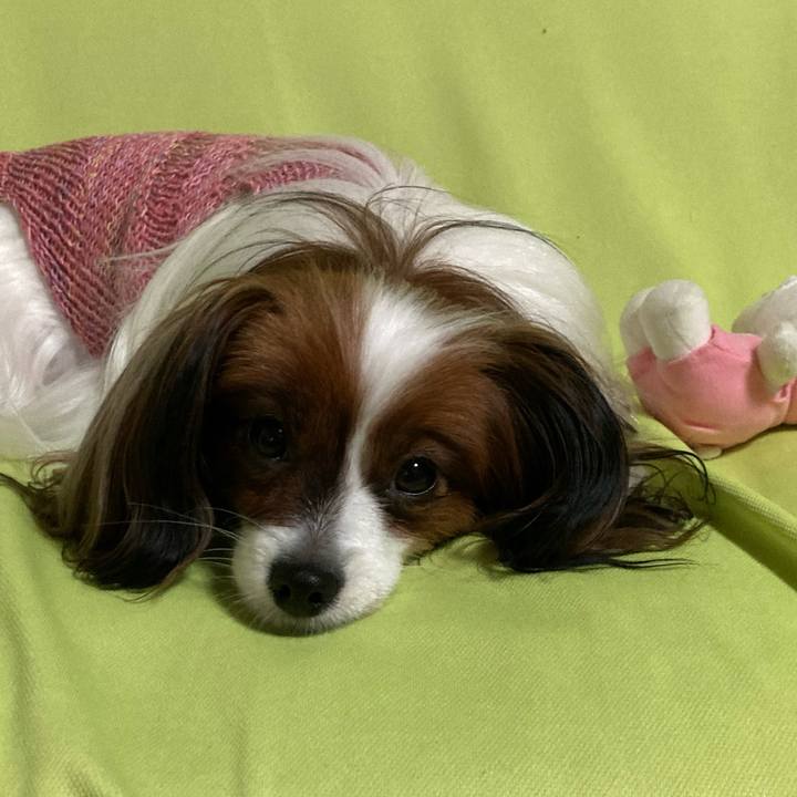 Adfd0d98 077f 4b00 9030 10740c706c0c 1634469047915