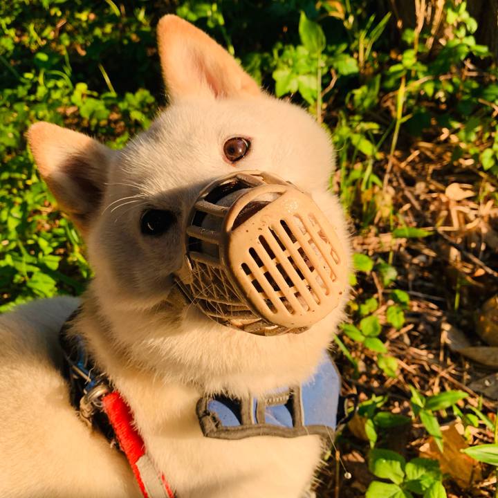 Adfd334b 0250 4b6a 8e54 ee8debdf19f1 1624395939766