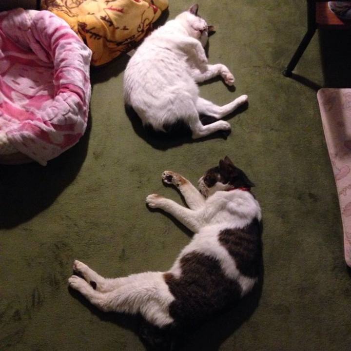 Adfd3439 4bd5 402e 9c9b b7cf2af8595e 1622096147758