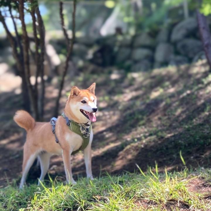 Adfd564a 1d68 4c47 a5c3 dcfb68c71b61 1652512177195