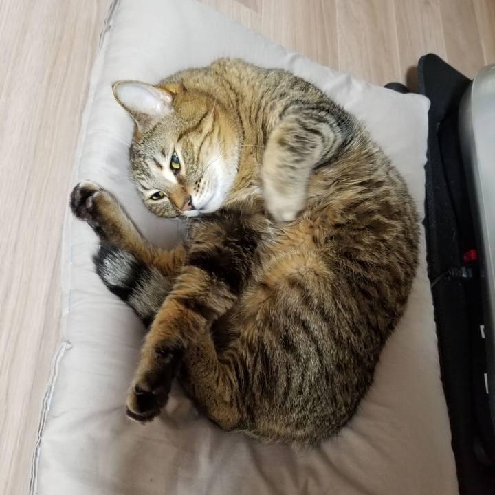 Adfd7ee8 a64d 4117 b0b0 dec5e16dfa0a 1611524235135