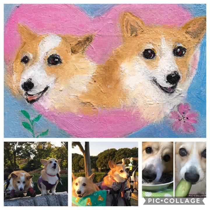 Adfdfd9e 3228 4c5e 9030 3f41d5e4343a 1586415164328