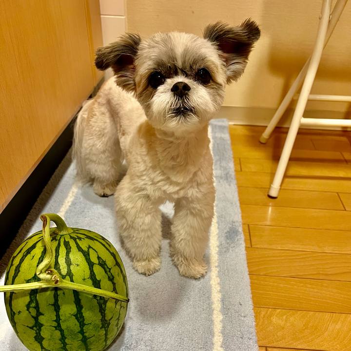 Adfe108d 3a5b 46a4 b363 2e7d291e57c3 1654231802240