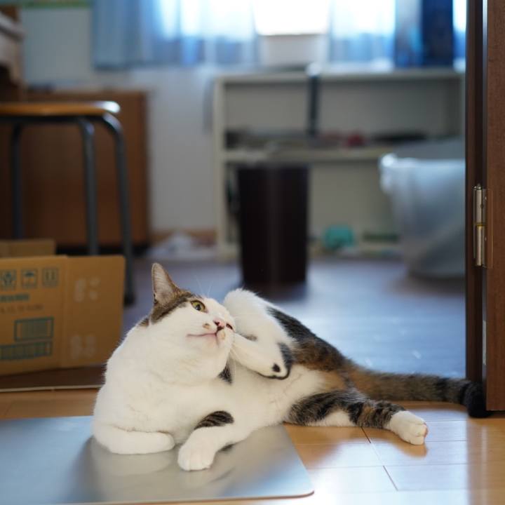 Adfe14f5 01bb 4a81 98fa 3be506fac93d 1569455840565