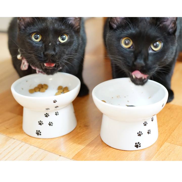 Adfe1fad f333 4212 a2cf 666ccacf9a59 1513603172353