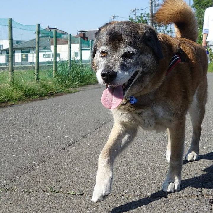 Adfe243d 1b40 4aa7 8b5a 1ad5bbeeb1cf 1524882531047