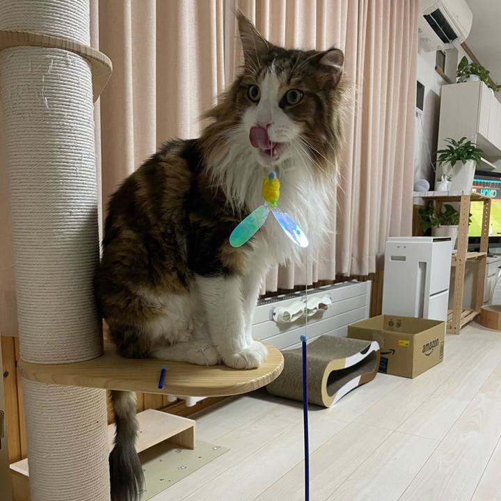 Adfe3d87 658f 4067 b5bb 7997da79649a 1692702408510