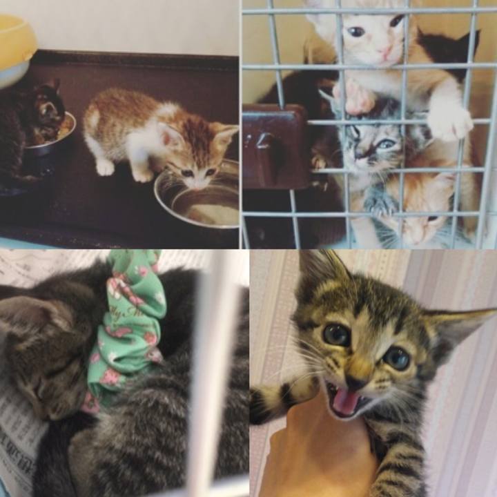 Adfe46af cfb9 435d a5a9 fbc1e9afc108 1543986376740