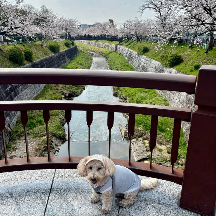 Adfe46be 346c 4ffc 9b91 cf68dd87e6ab 1774845924201