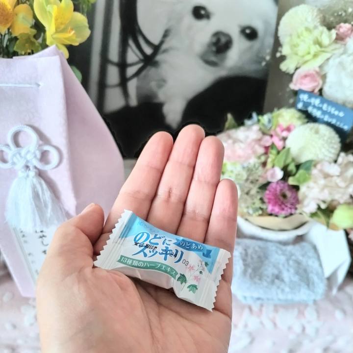 Adfe5818 f51b 4f71 89f3 768dfa4370b0 1688417478722