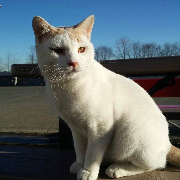 Adfe965c d6bd 4cda 9b5a c7d0b8df7cd7 1513050535913