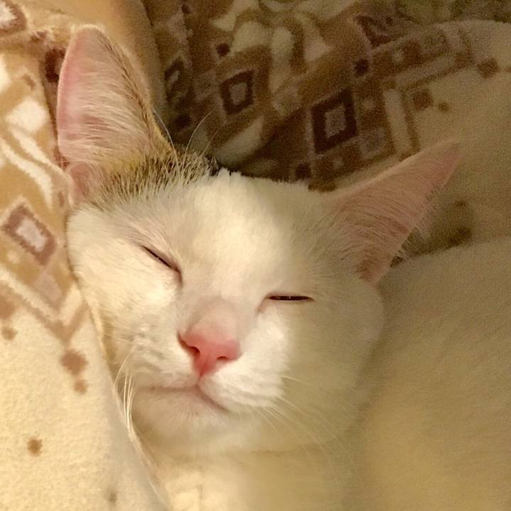 Adfe9d56 21b5 45c8 8651 24681777e81d 1514421416496