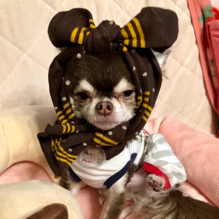 Adfea154 8c1a 4d85 b9a7 1fe47625d85d 1518533887035