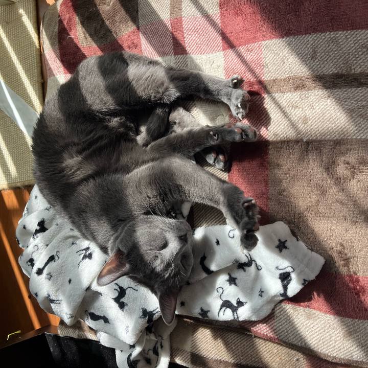 Adfea3c2 64c1 4d6b 8c25 d5de31b263da 1711502397954