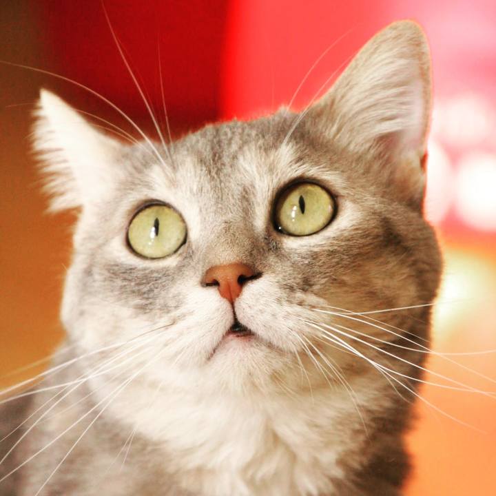 Adfecb21 71ff 4dc4 93f4 ebc4adb9070f 1561278390453