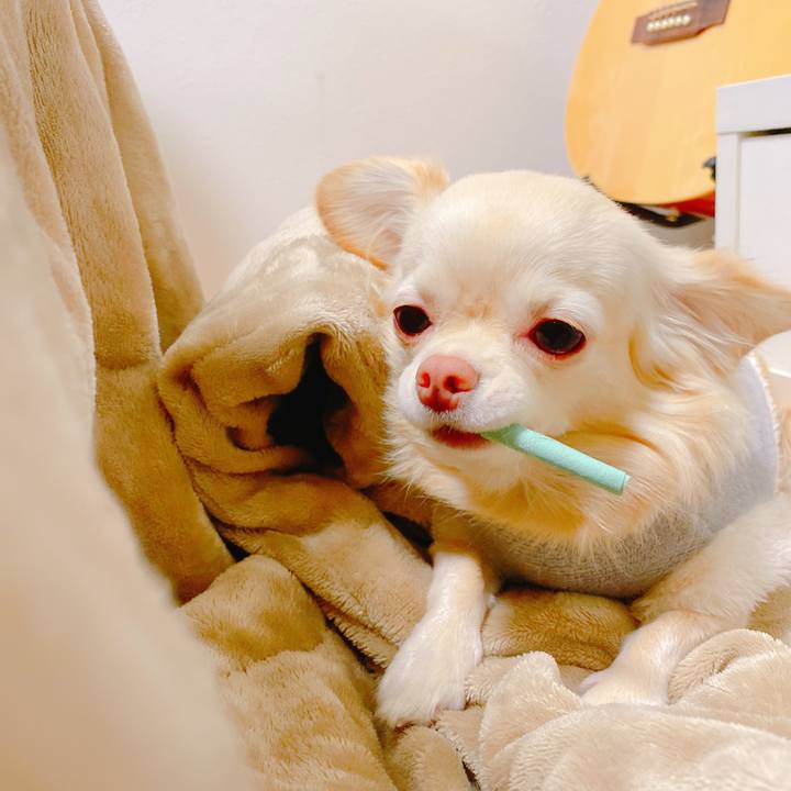 Adfecc5e 801d 4714 a1df 998ce88bef54 1637469044871