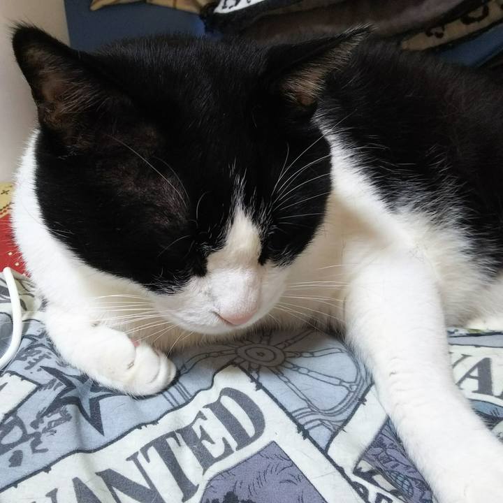 Adfecec0 1532 4bb2 a4b2 4e82b35cbb65 1526169413501