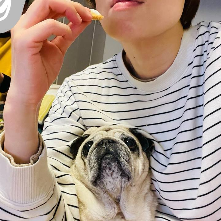 Adfee478 f80e 4ff8 b6fe d1f11714cda7 1773615927728