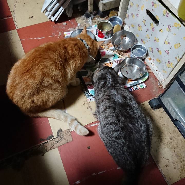 Adfefc3b a118 4d17 9346 c9b952380884 1592767264151