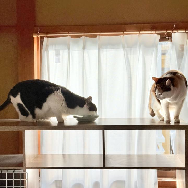 Adff0592 d7e5 43d8 8862 66ba665e7d14 1738118499630