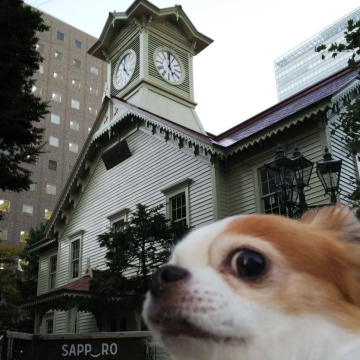 Adff4fb8 a20d 45d3 801f 2fca858ba6e9 1570147588676