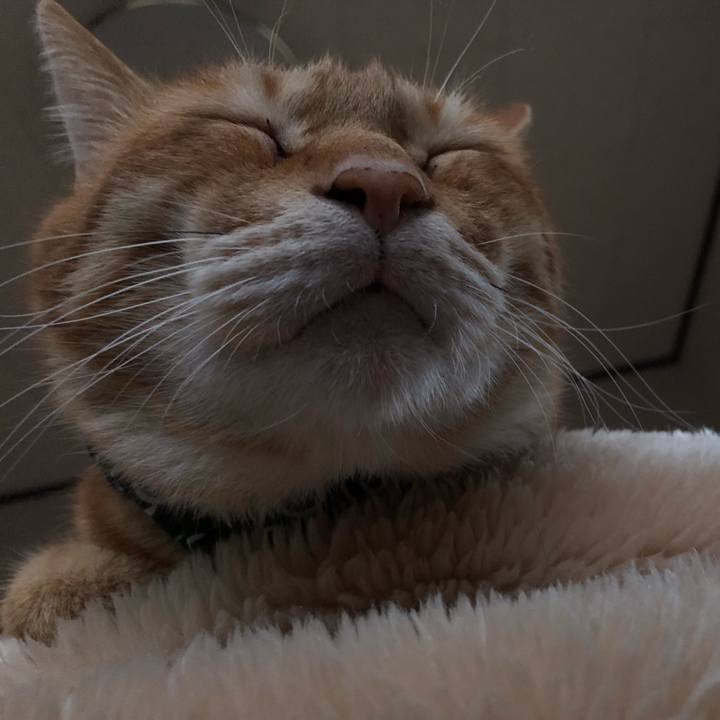 Ae000553 d203 4351 980e 5e1a459e1ff7 1557867430481