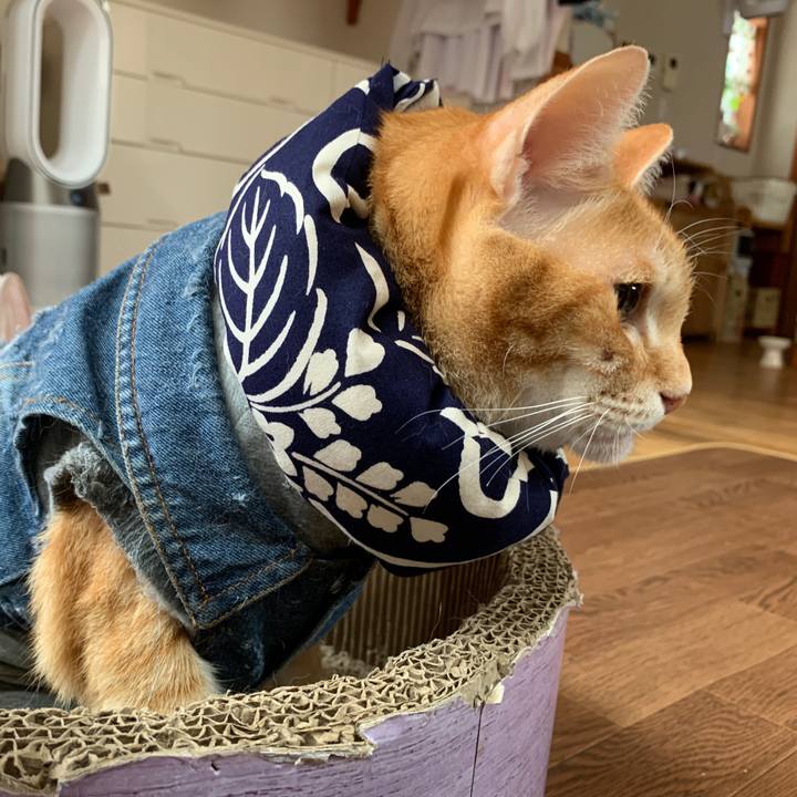 Ae006bf3 cb73 4e08 94d8 f41153f0a040 1656996080834