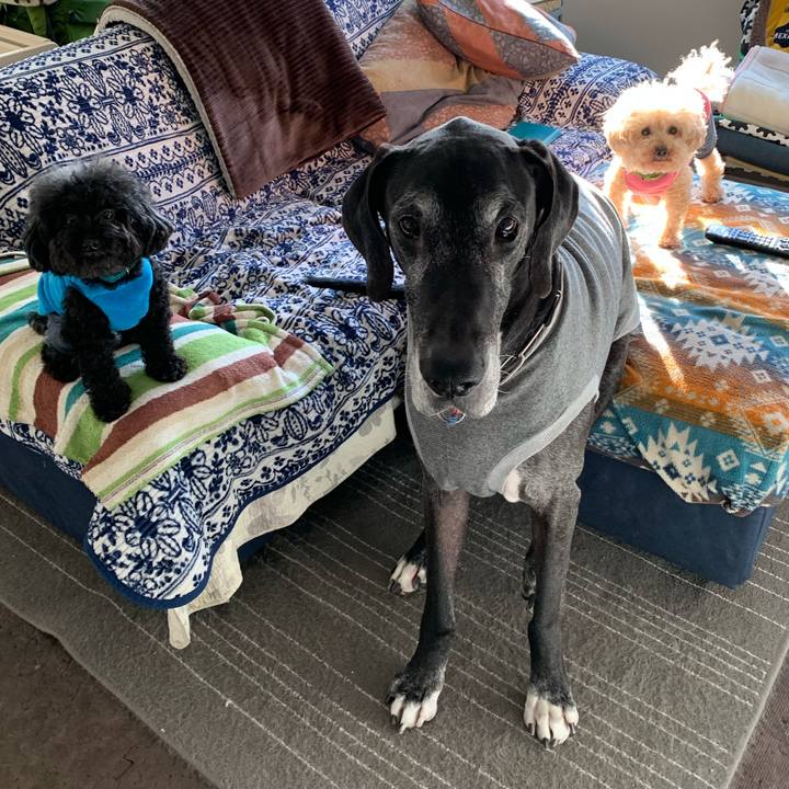 Ae0077c6 05fa 4a51 b825 35032cba0b76 1583361703929