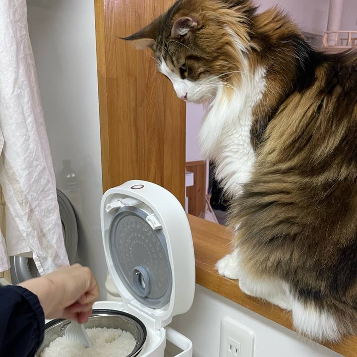 Ae00cc8a 1465 4a98 8a7c 9aefb66a74d2 1670707544328