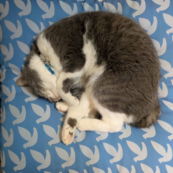 Ae01060a 061c 4860 8a94 d8f2382f9988 1747054458484