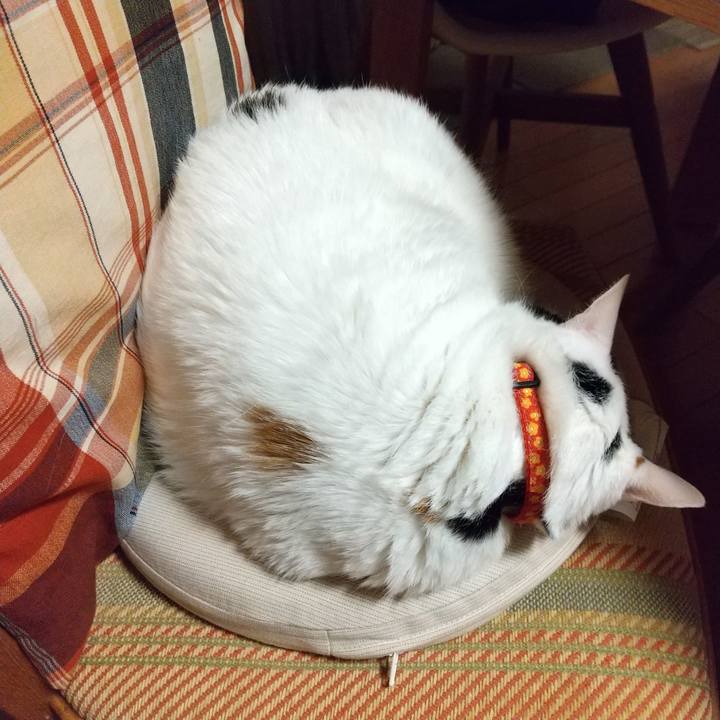 Ae0132c9 d202 4d87 8cf9 c3a6b49b9e15 1616929894765