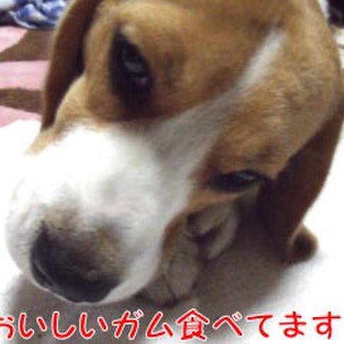 Ae017f67 336b 448e bf8d 2b6dae6b3323 1707003146135