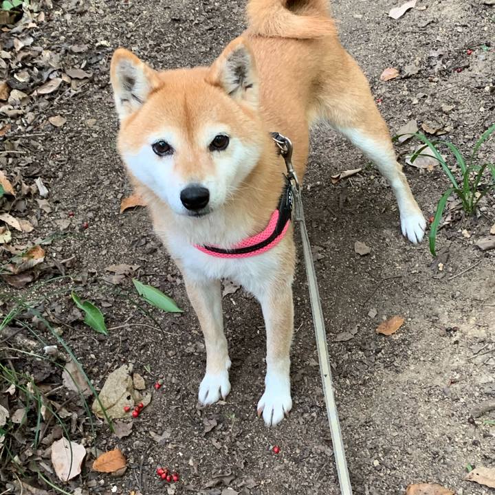 Ae01fda5 4cdb 4575 83a1 72b68615146f 1579502929426