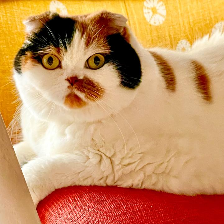 Ae0205b9 46f7 4582 bdf6 d595ab6988e6 1637797459492