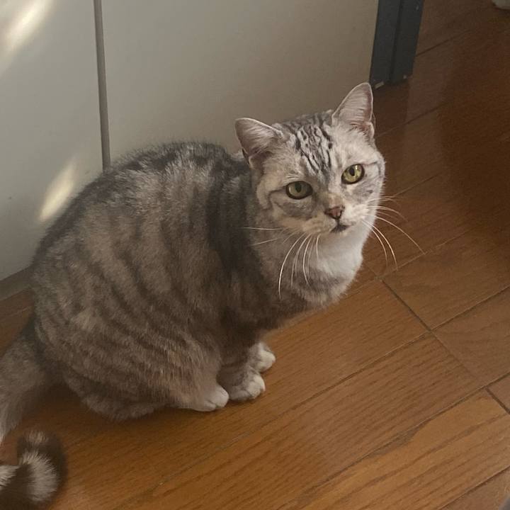 Ae02287e c255 4a56 a213 5e387c72c4aa 1771044189915