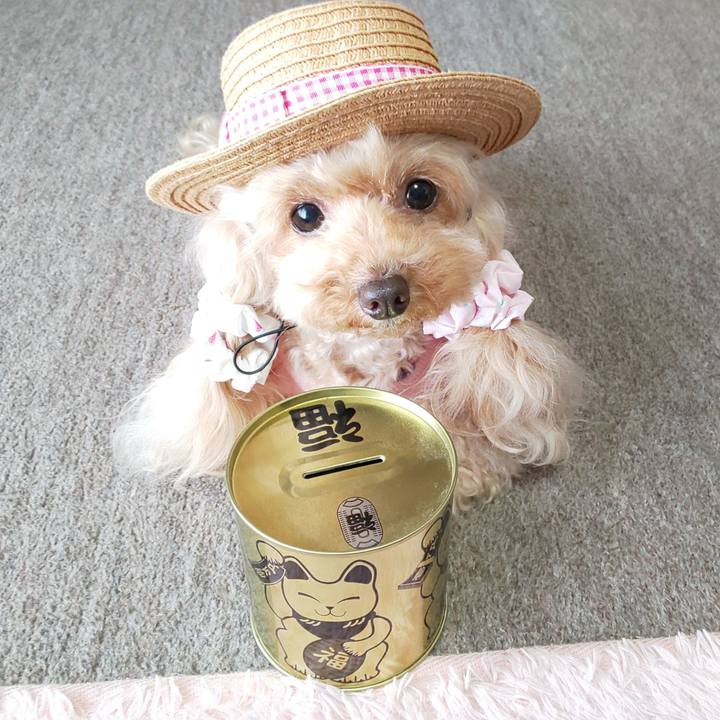 Ae023da7 3a40 4029 ad84 ff99ac1986cf 1584620427533