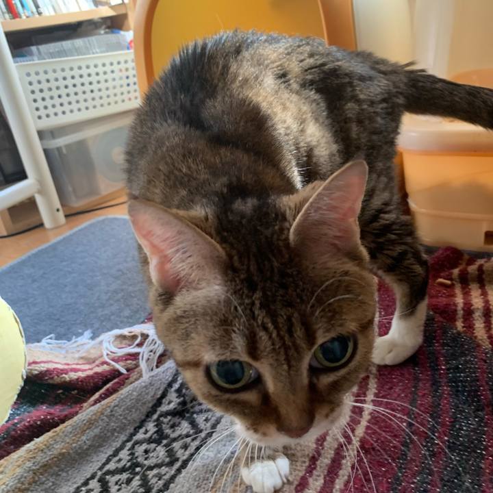 Ae023dd1 fd38 484e 9997 db646cf2c2c9 1654731334135