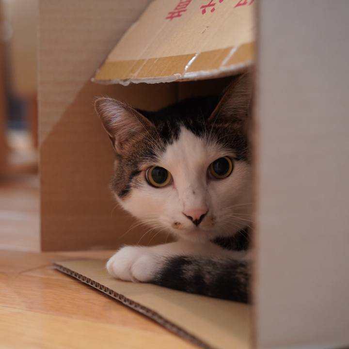 Ae02591d 3c3f 4939 a5d0 fc7ada3315ec 1630844098274