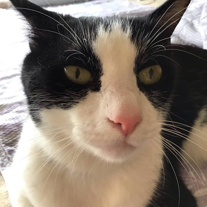 Ae0276e7 d696 4e65 ba3f 082c3906ae39 1750749879540