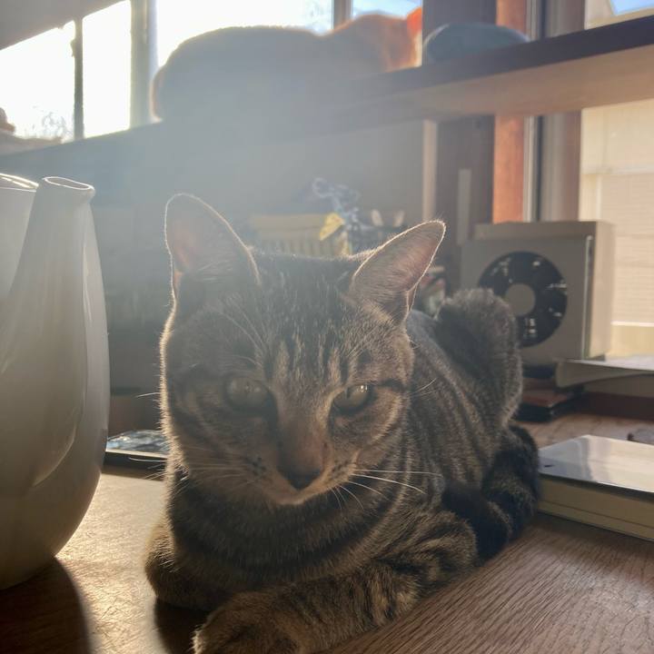 Ae02cfd1 c56c 4d01 baa6 1ec92d998285 1666480423462