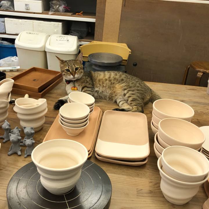 Ae0307de 4991 4967 bf24 ff41b9fbddbf 1591242811612