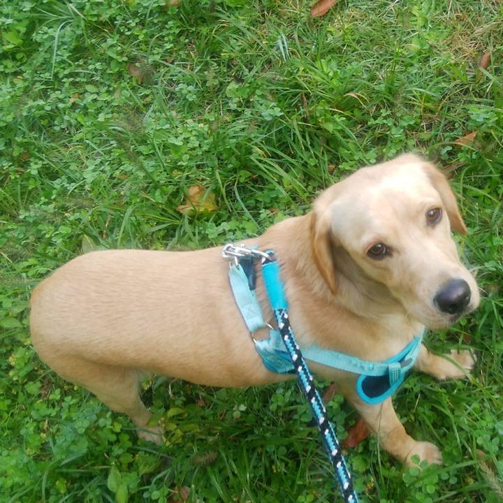 Ae0337e7 c55f 4290 9dc8 650afe3df6f9 1509057859443