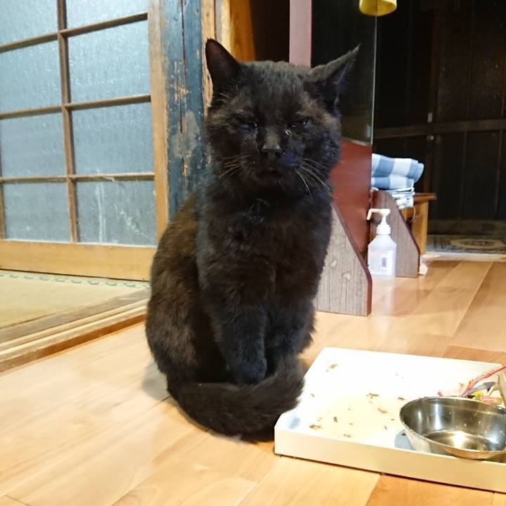 Ae03380d 92b0 412a a3f3 985cca677777 1620832111906