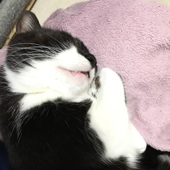 Ae03382c 6363 4278 9b8b 9b547acb4cf7 1515074901153