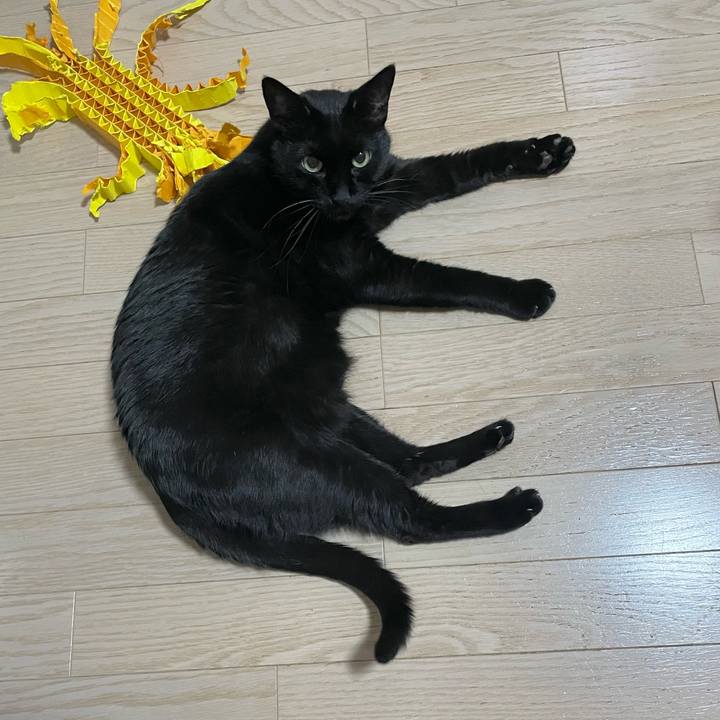 Ae034614 d08c 4412 87c8 94810a89b055 1700991327392