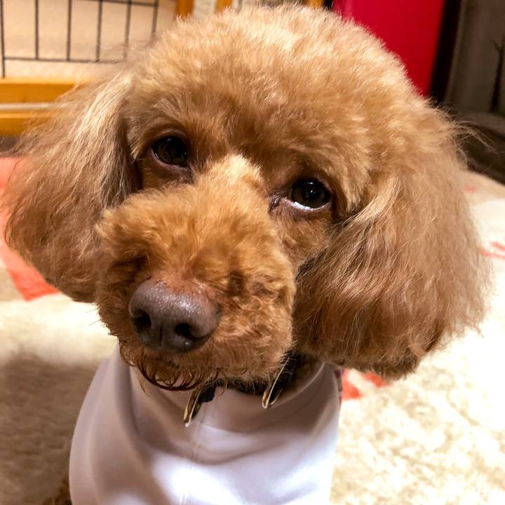 Ae03a808 6942 40ea bdab 72bd74626059 1556624815325